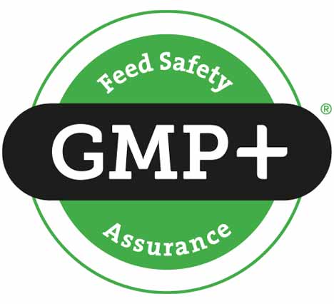 GMP+